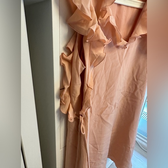 Club Monaco Pink Dress with Ruffles - Picture 3 of 4